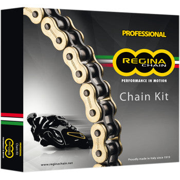 Regina Chain And Sprocket Kit For XR650L